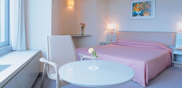 Shin Furano Prince Hotel