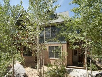 Cabin in the Pines