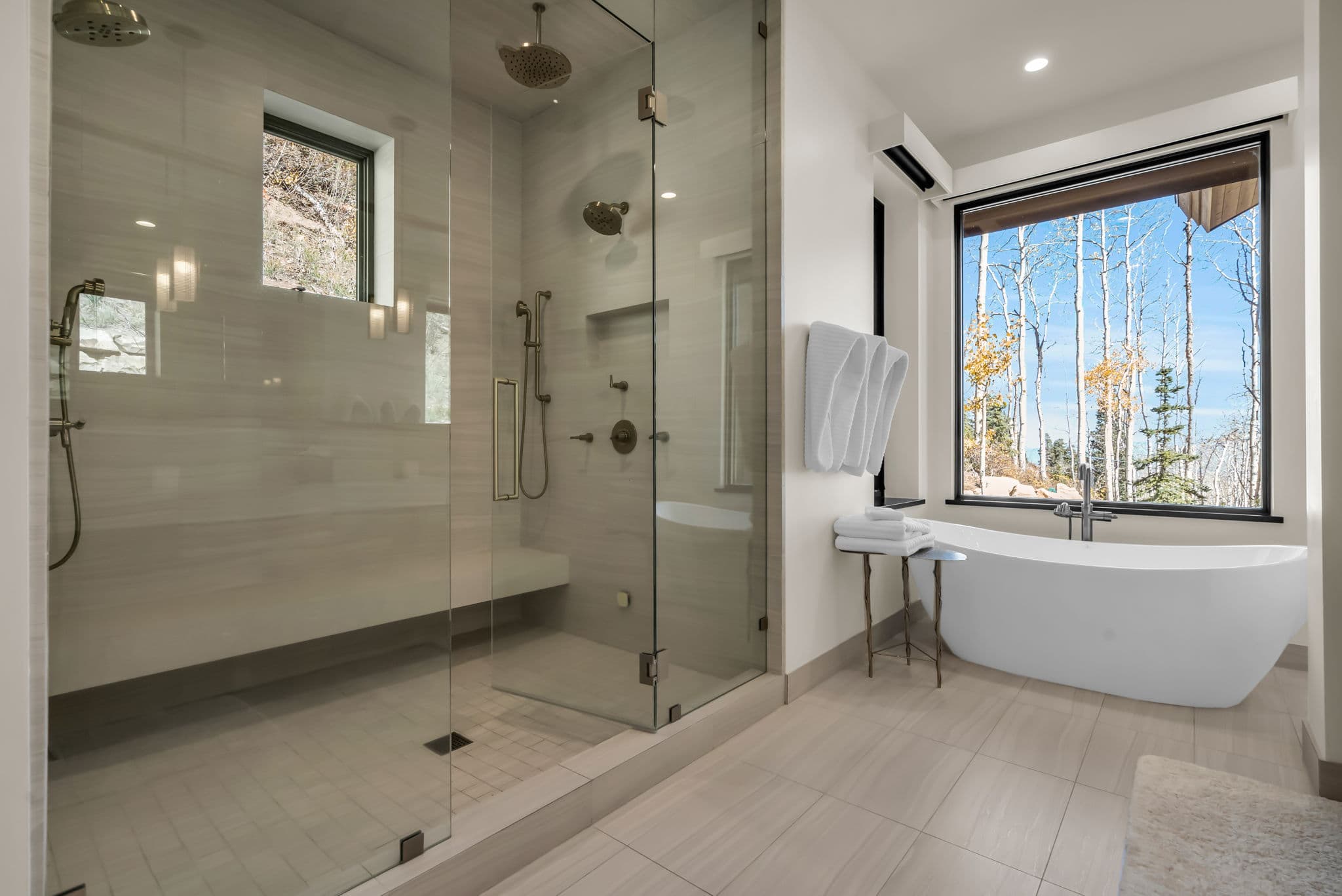 Walk-in Shower and Freestanding Bathtub