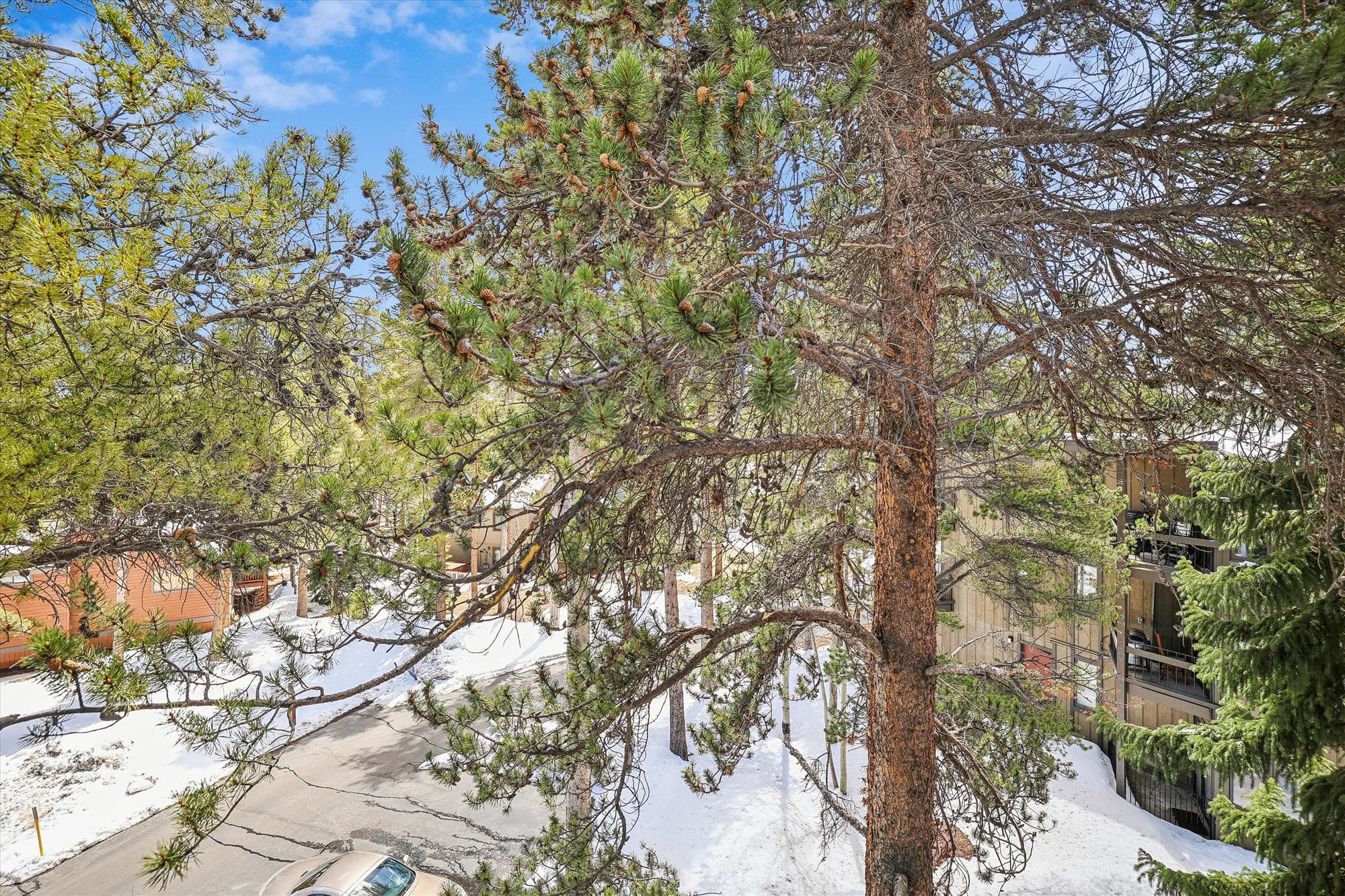 Exterior - Gold Camp 54 - Breckenridge Vacation Rental