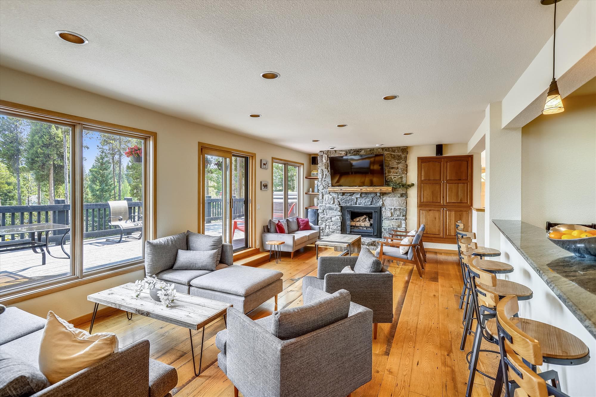 Living Room, The Duck House, Breckenridge Vacation Rental