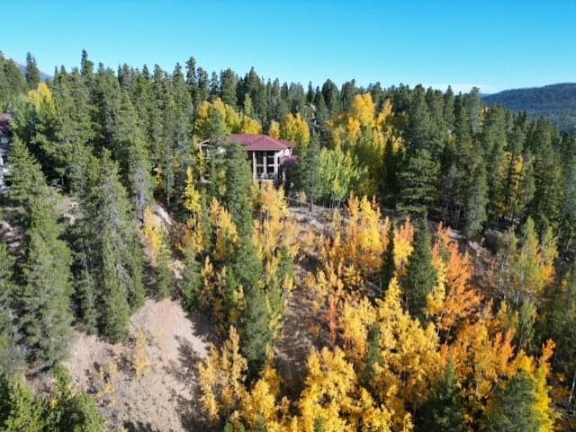 Exterior - Lookout on Christie Lane - Breckenridge Vacation Rental