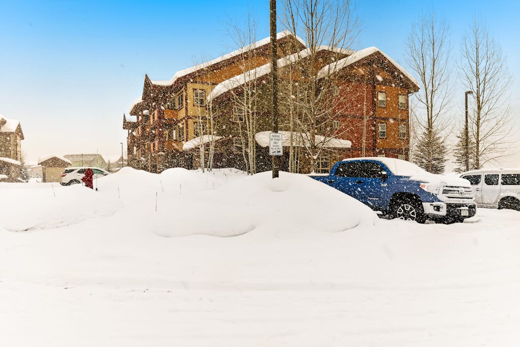 First Tracks