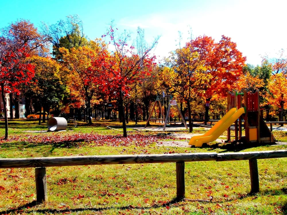 Childrens Play Area - Outdoor