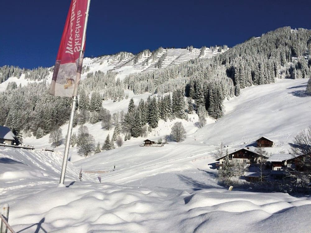 Skiing