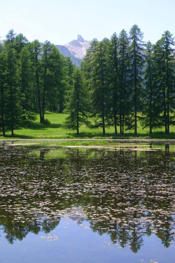 Lake View