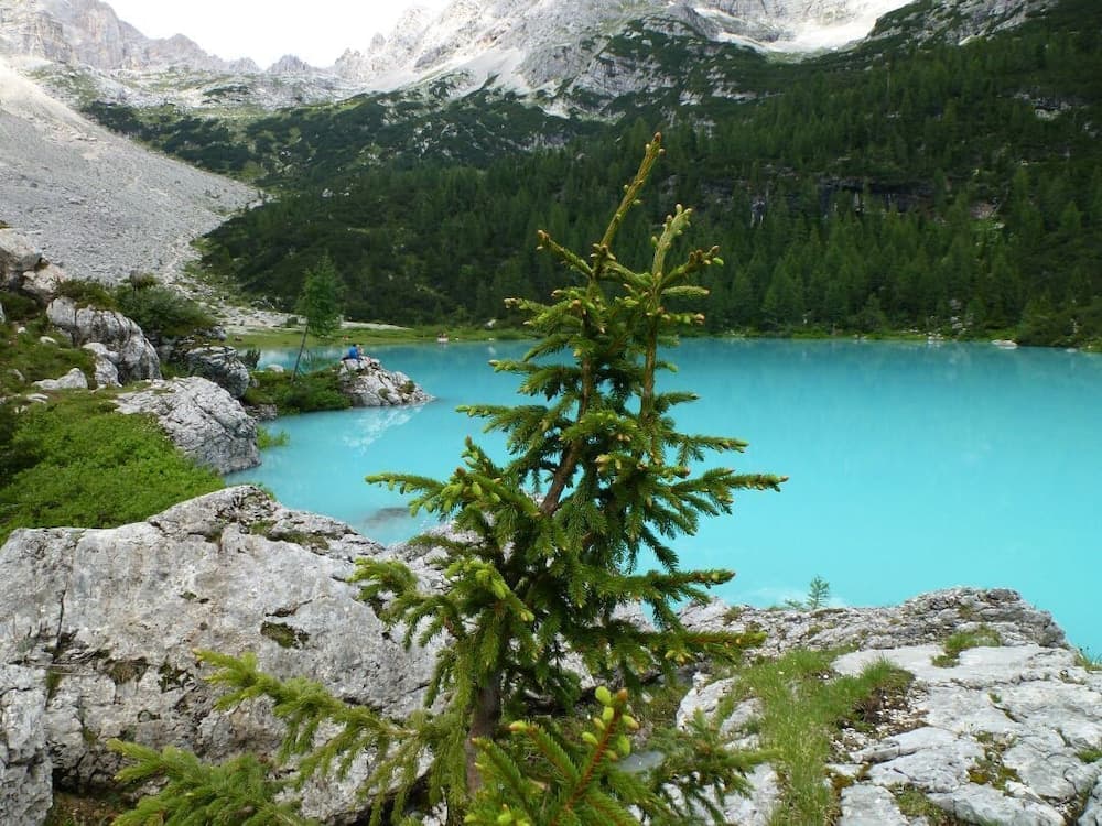 Hiking