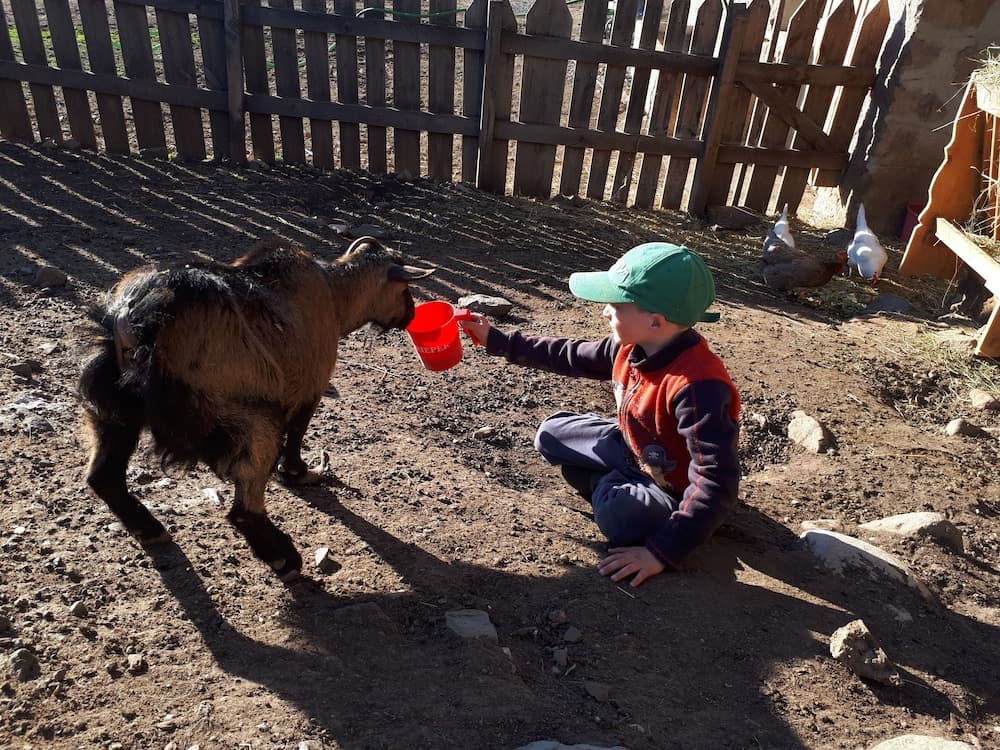 Children’s Activities