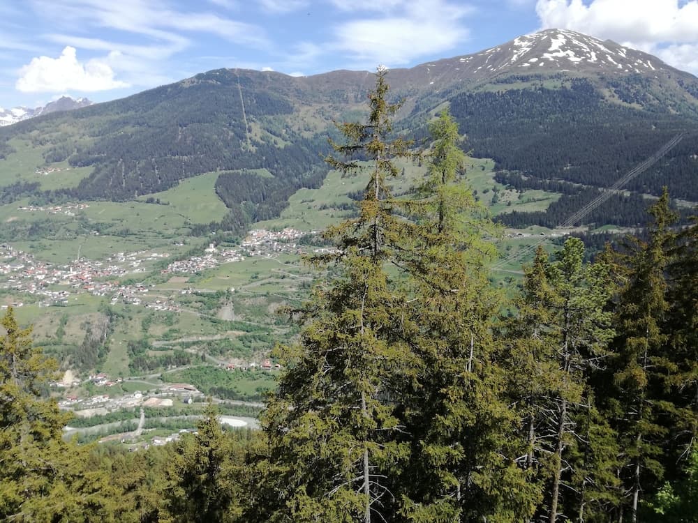 Hiking