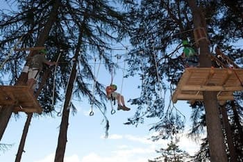 Ropes Course (Team Building)