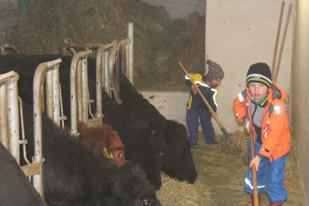 Children’s Activities