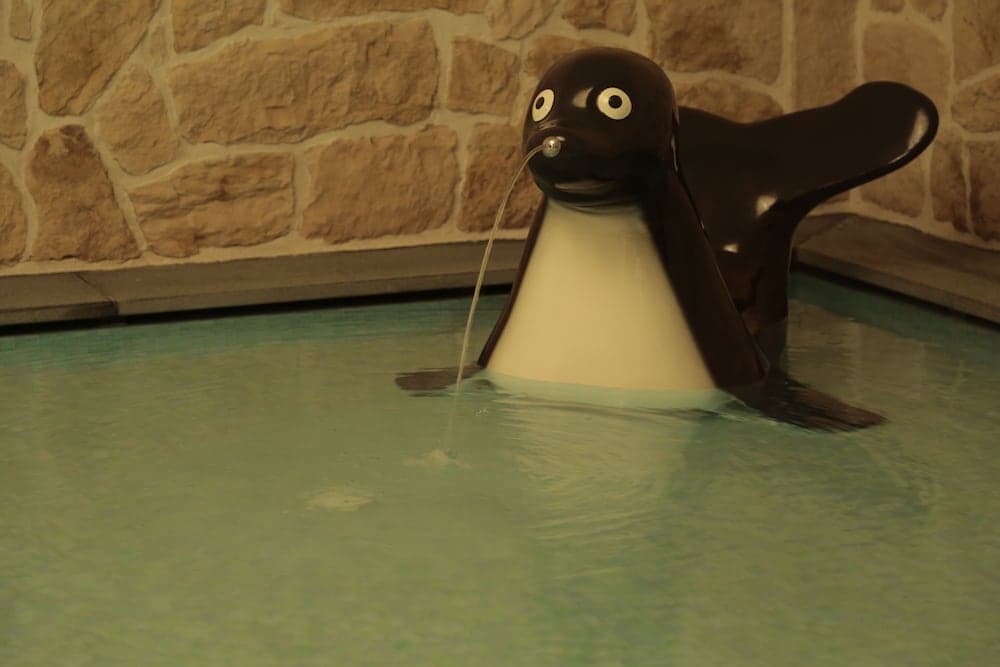 Children’s Pool