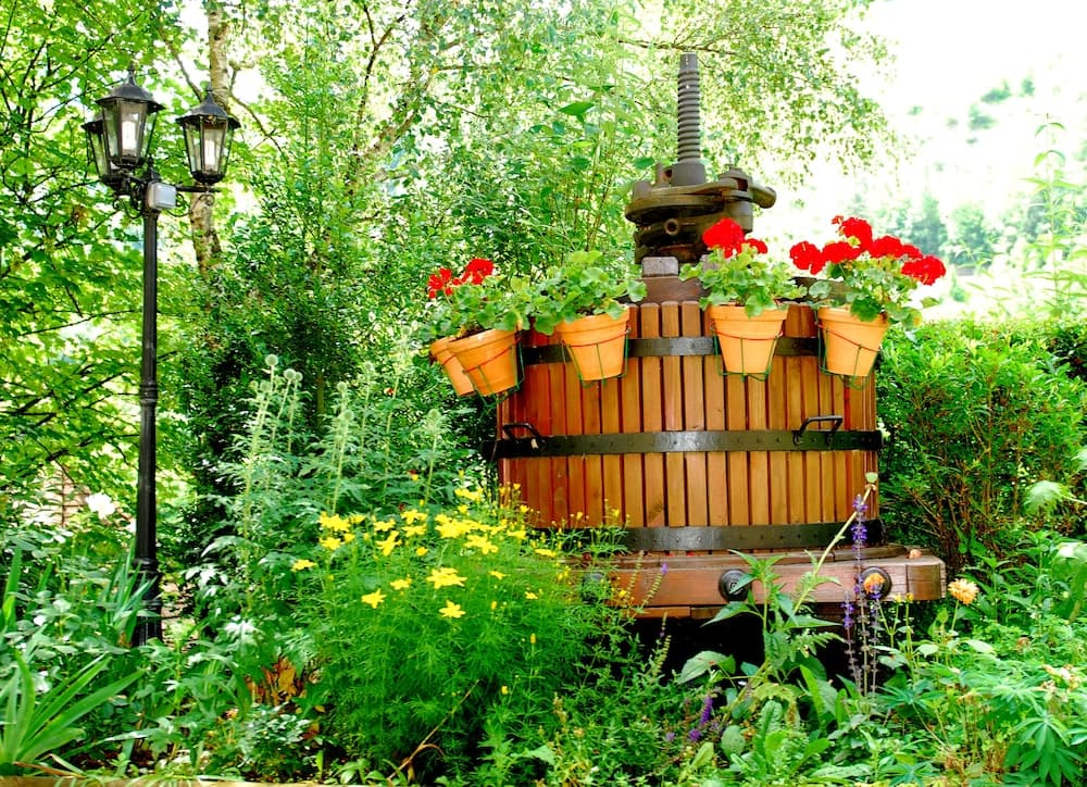 Garden