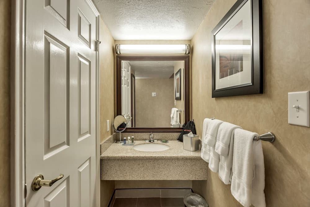 Bathroom sink