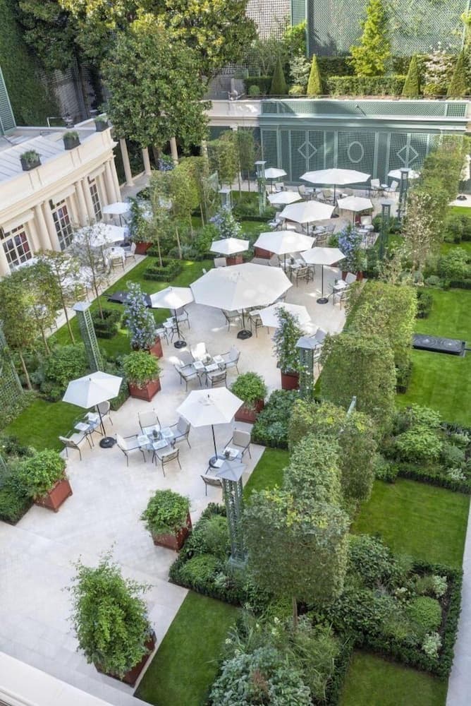 Garden view