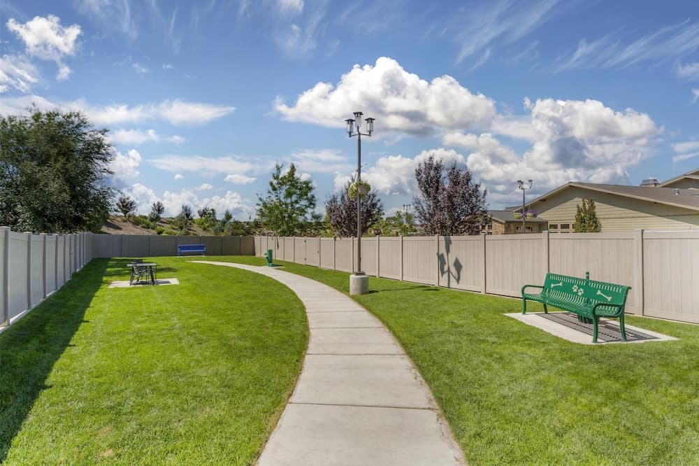 BBQ/picnic area