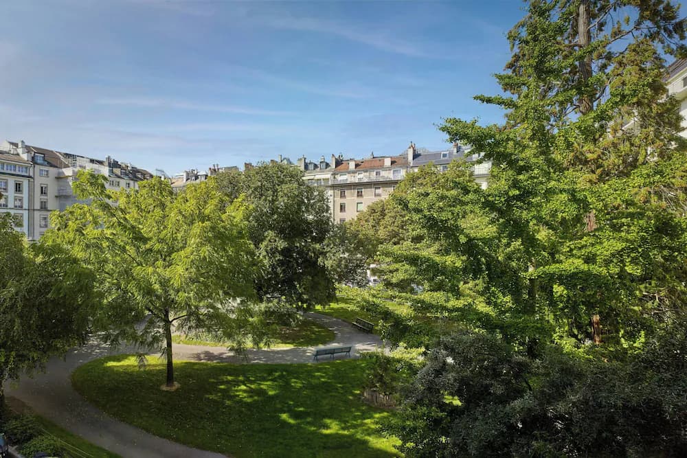 Park view