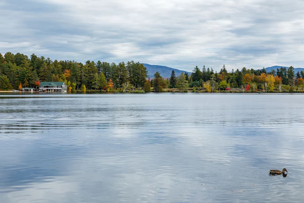 Lake