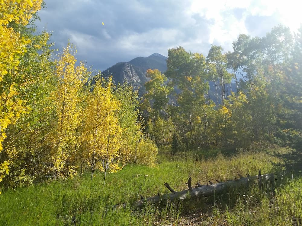 Hiking
