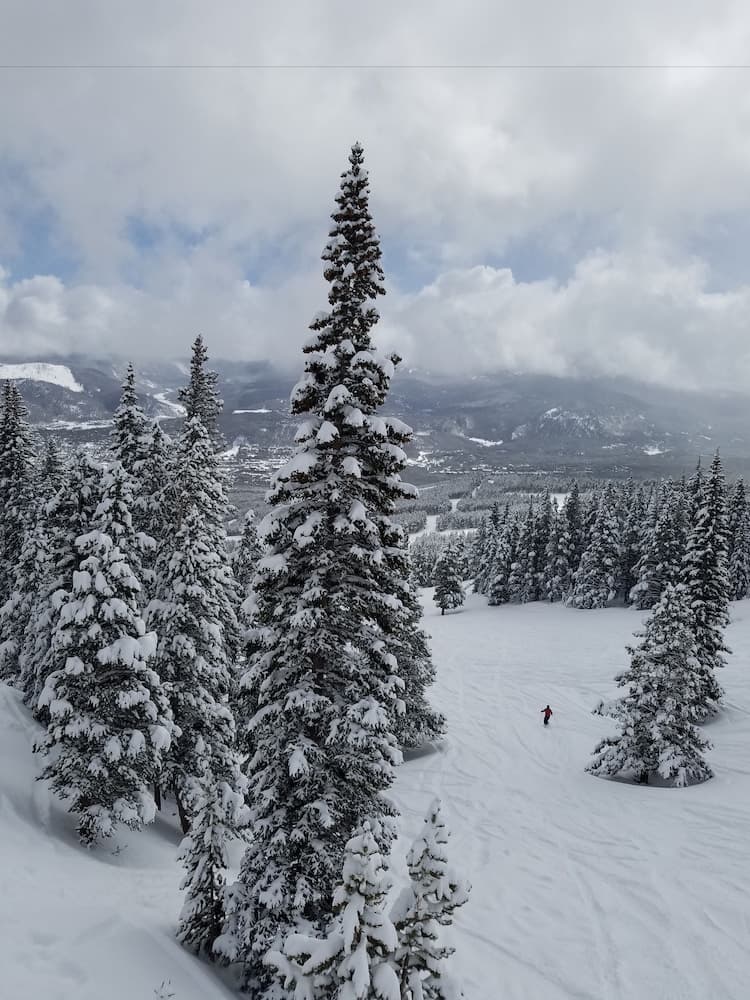 Skiing