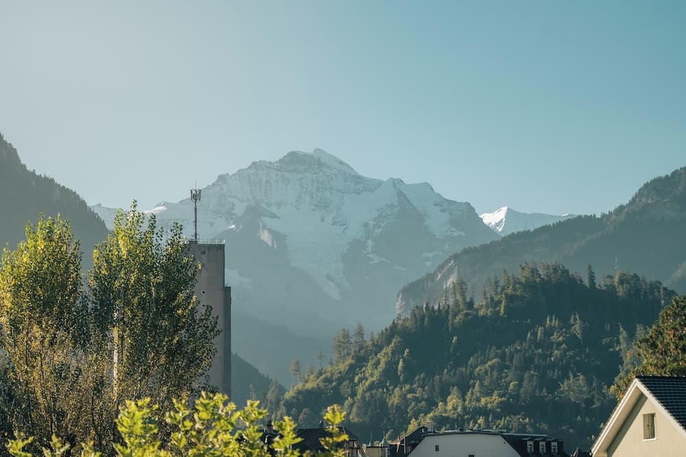 View from room