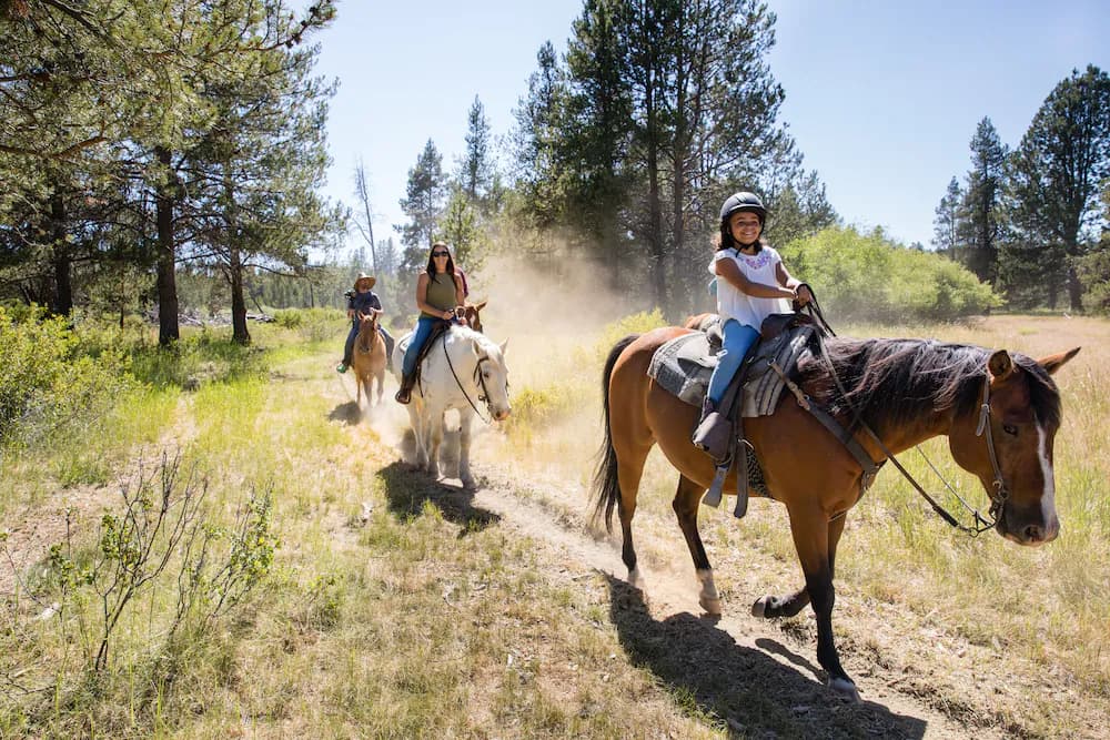 Horseback riding
