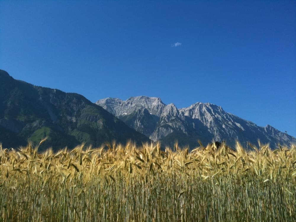 Mountain view