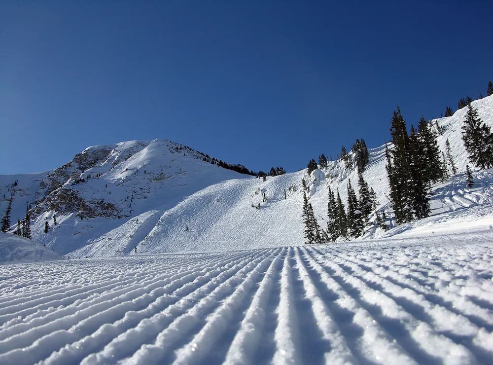 Skiing