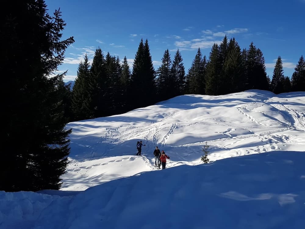 Snowshoeing