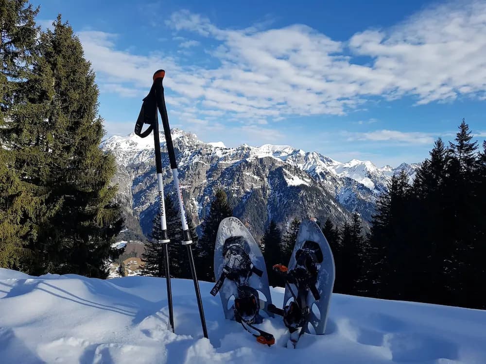 Snowshoeing