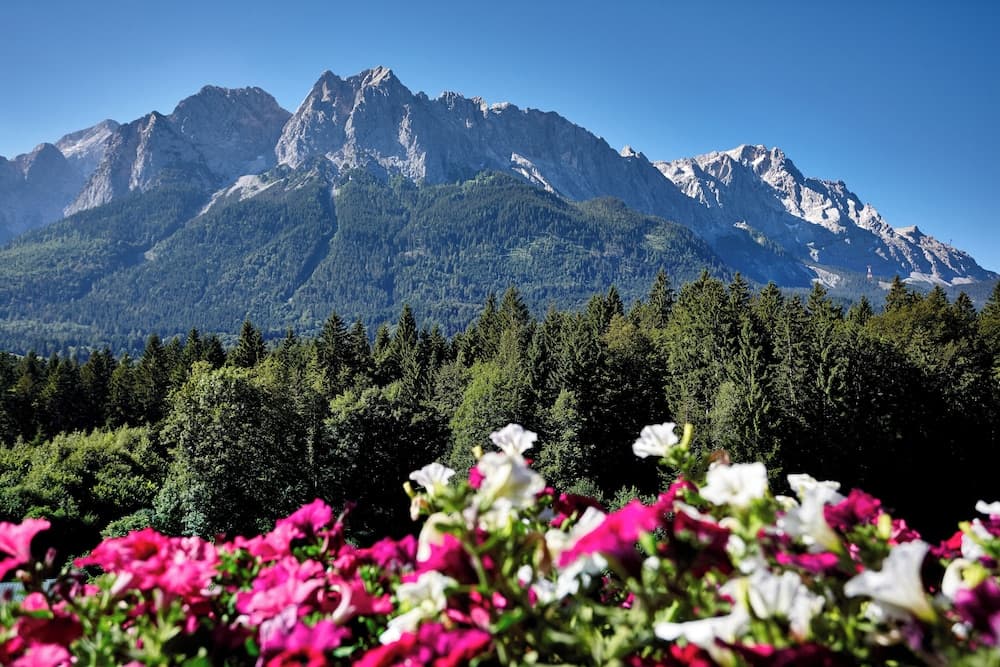 Mountain view