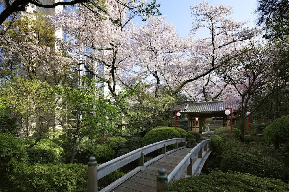 Japanese garden