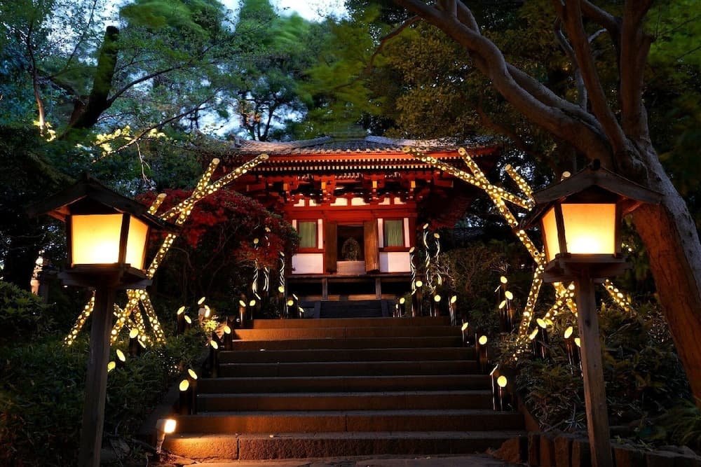 Japanese garden
