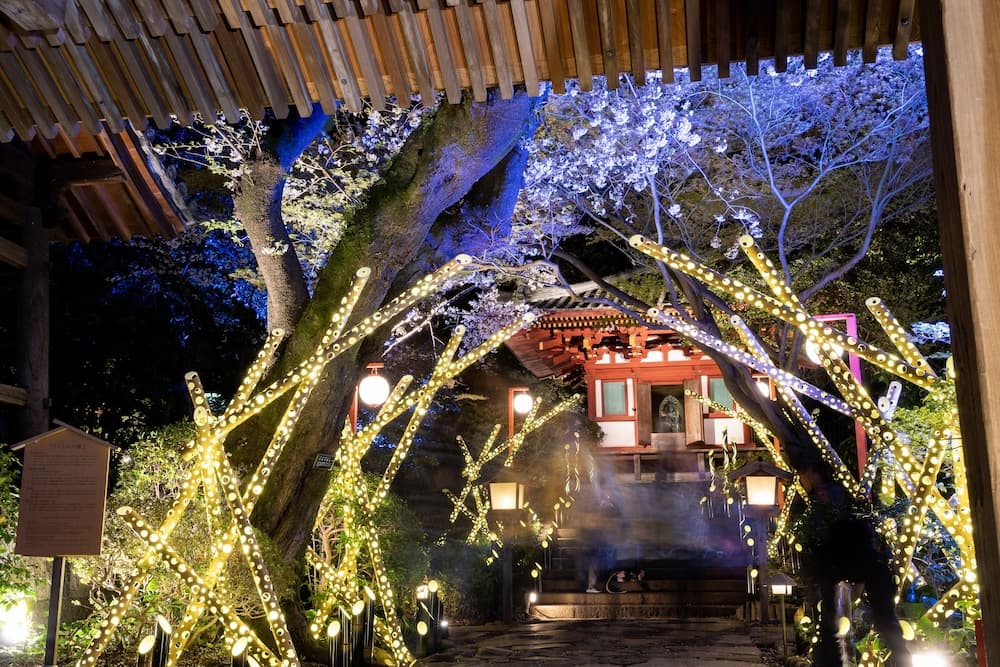 Japanese garden