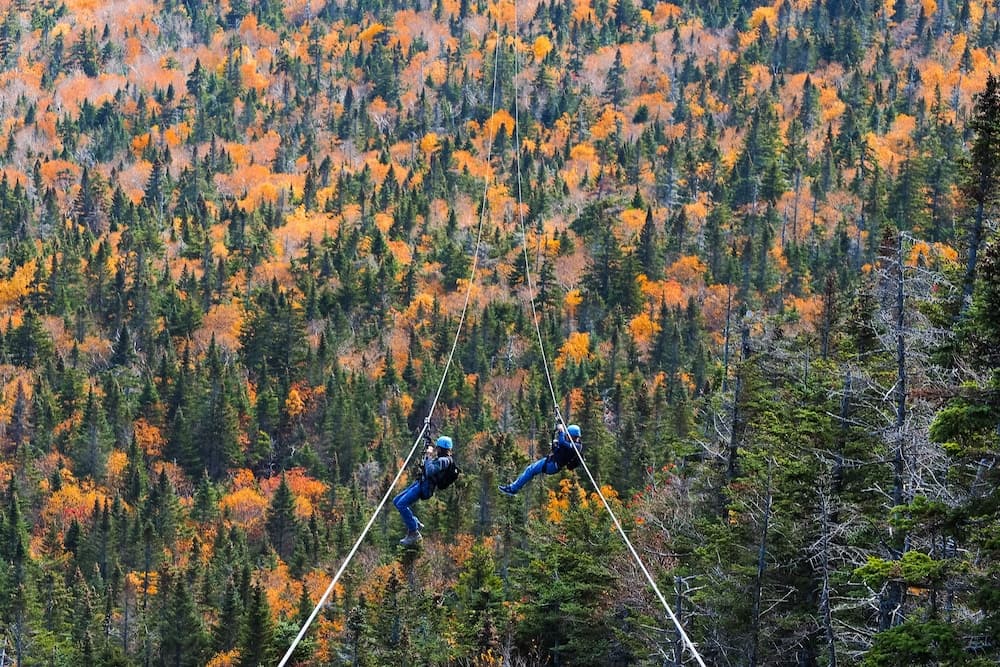 Ziplining