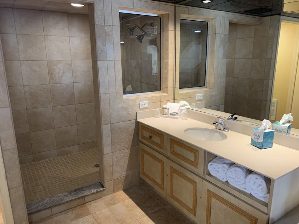 Bathroom shower