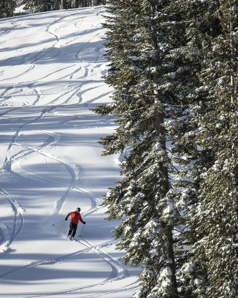 Skiing