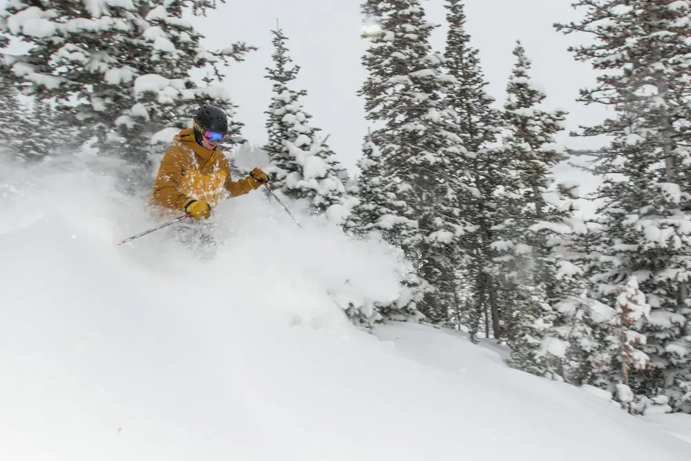Snow and ski sports