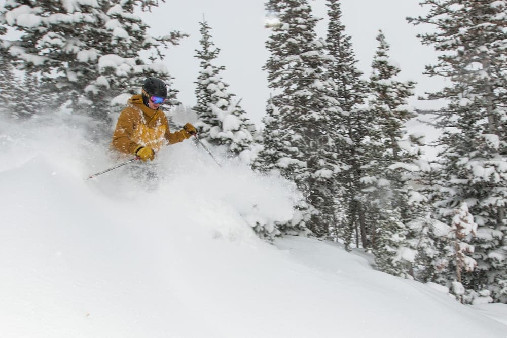 Snow and ski sports