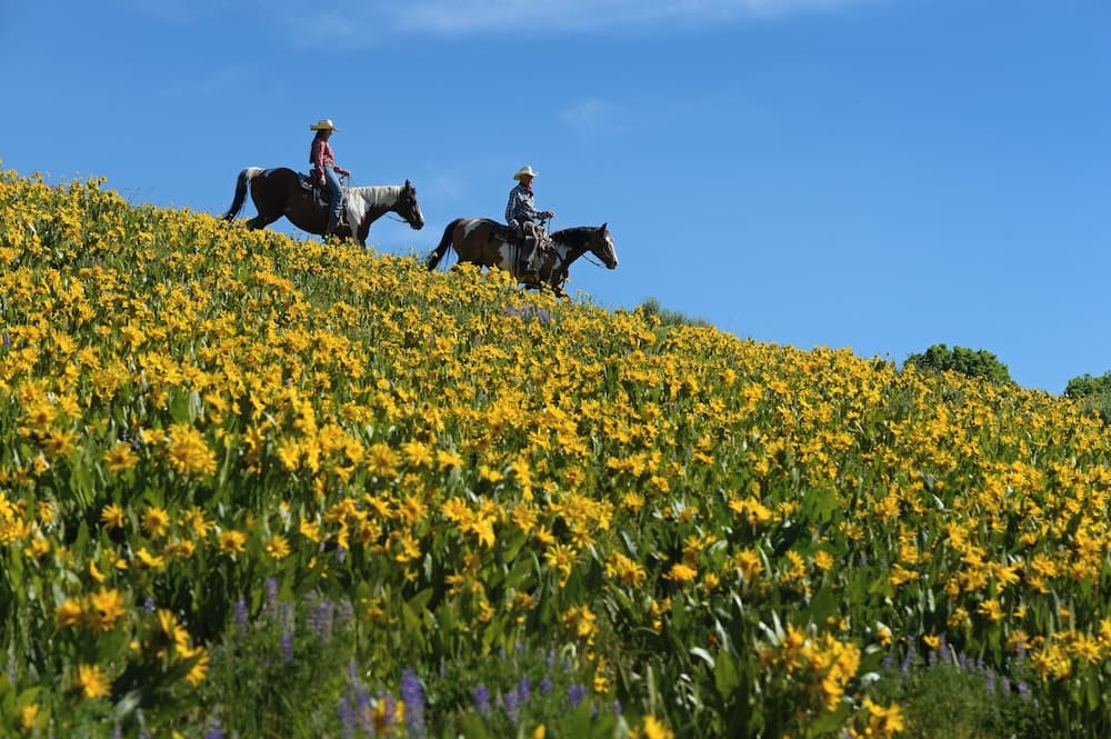 Horseback riding