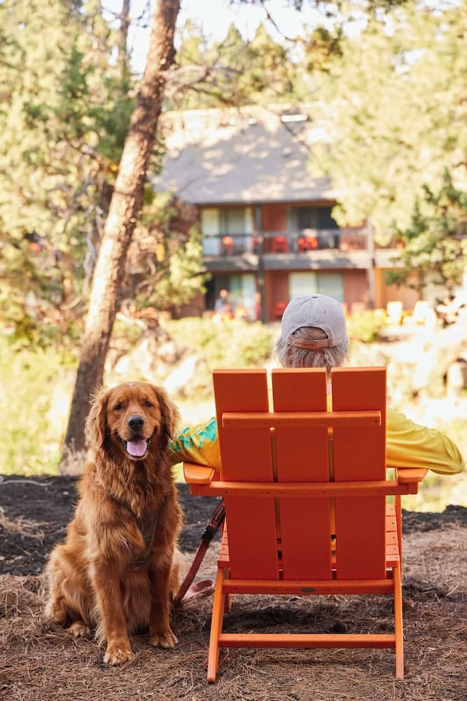 Pet-friendly amenities