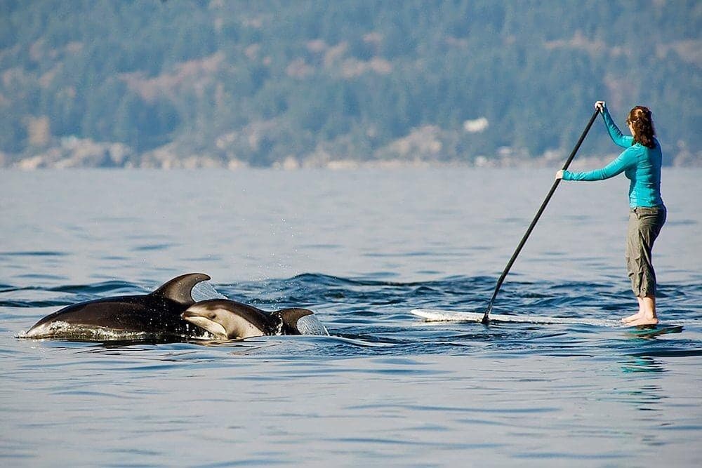 Kayaking