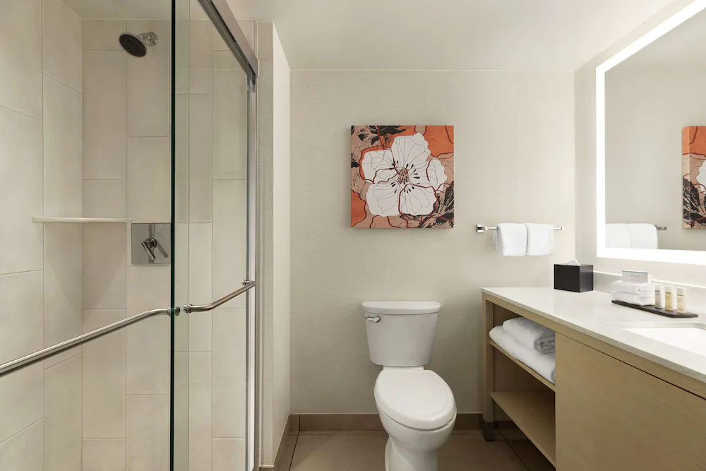 Bathroom shower