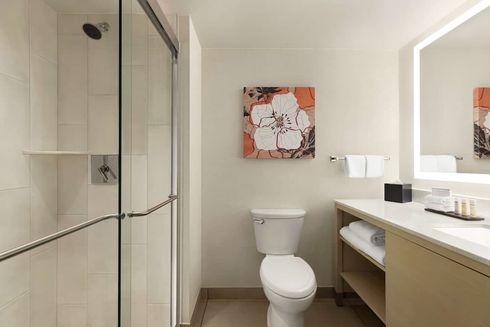 Bathroom shower