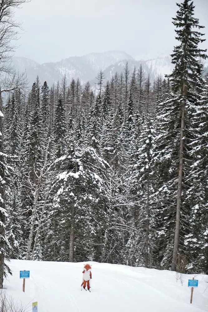 Snow and ski sports