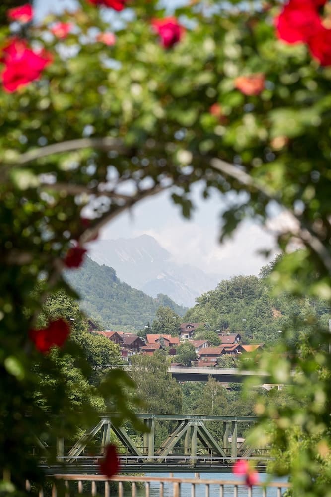 Mountain view