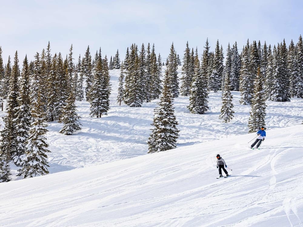 Snow and ski sports