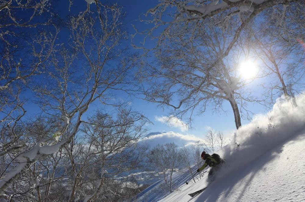 Snow and ski sports