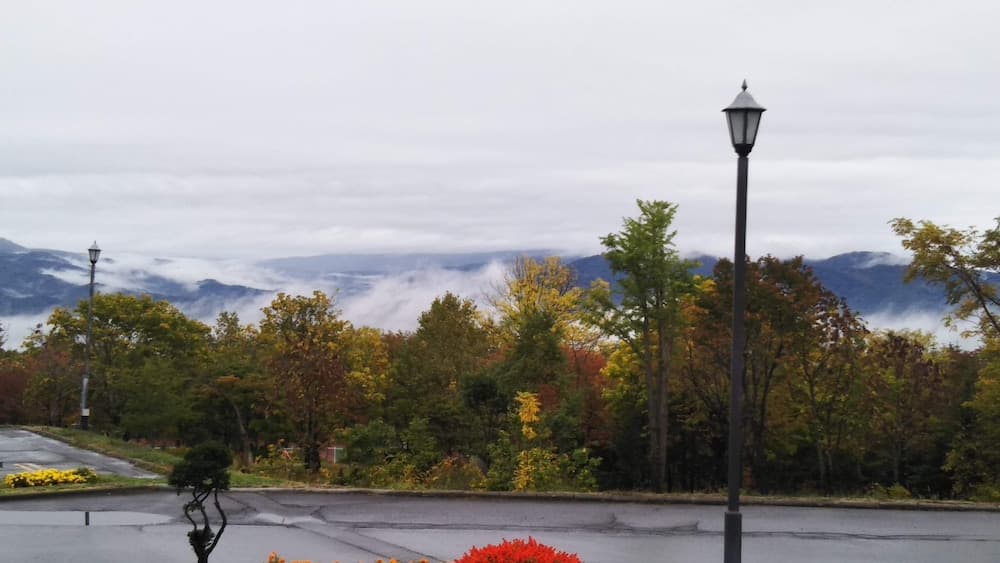 View from room