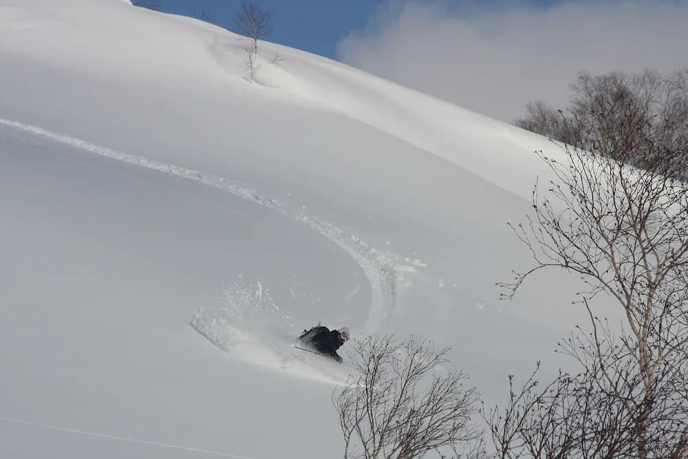 Snow and ski sports